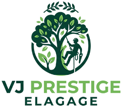 elagage-vj-prestige-elagage